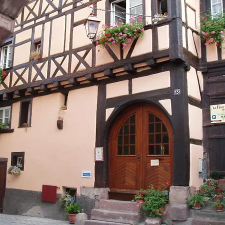 In Near Vineyards, Cleaning Included Riquewihr